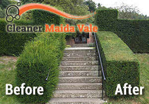 Hedge Trimming Before and After