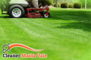 grass-cutting-maida-vale