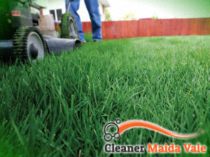 grass-cutting-services-maida-vale